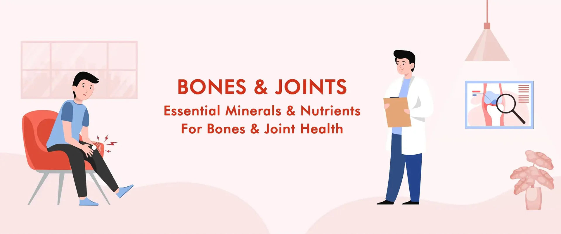 joints-muscles